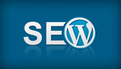 SEO Wordpress