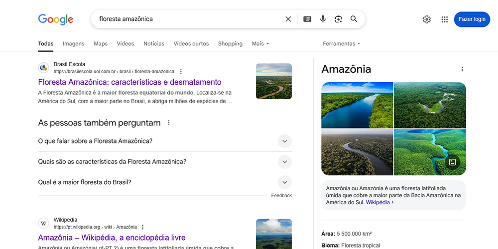 Pesquisa padrão Google